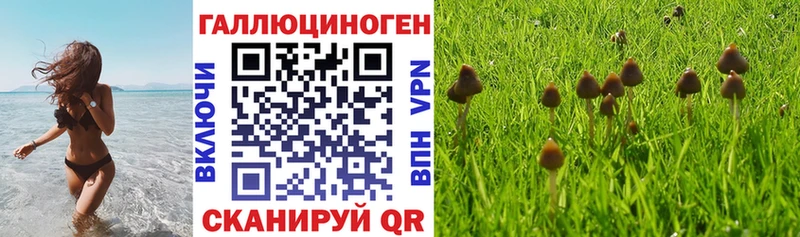 наркошоп  Белебей  Галлюциногенные грибы GOLDEN TEACHER 