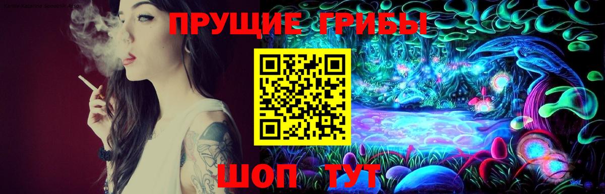 Псилоцибиновые грибы мицелий Белебей